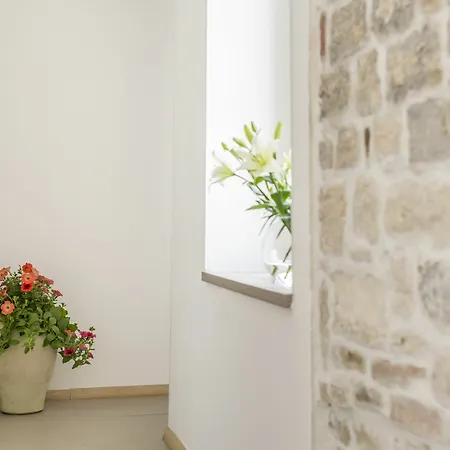 Guest house Centro Di Centri Split
