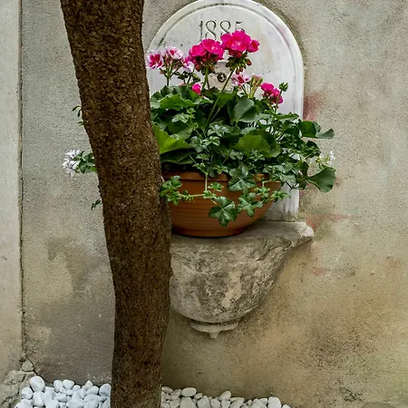 Guest house Centro Di Centri