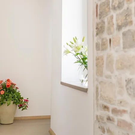 ゲストハウス セントロ ディ セントリルームズ スプリト